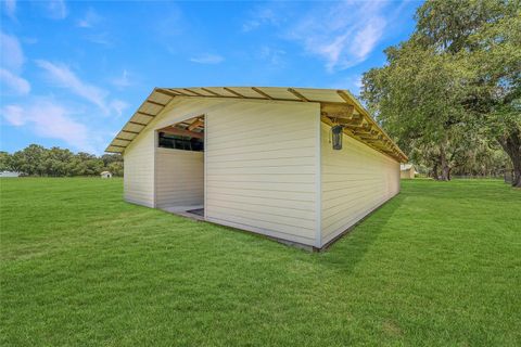 Farm in BUSHNELL FL 975 CR 542E 76.jpg