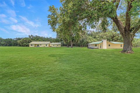 Farm in BUSHNELL FL 975 CR 542E 87.jpg