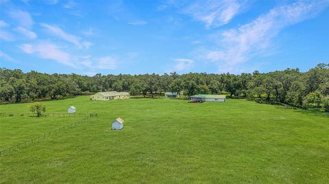 Farm in BUSHNELL FL 975 CR 542E 66.jpg