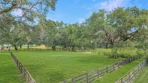 Farm in BUSHNELL FL 975 CR 542E 81.jpg