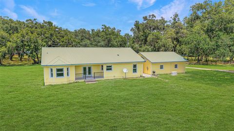 Farm in BUSHNELL FL 975 CR 542E 46.jpg