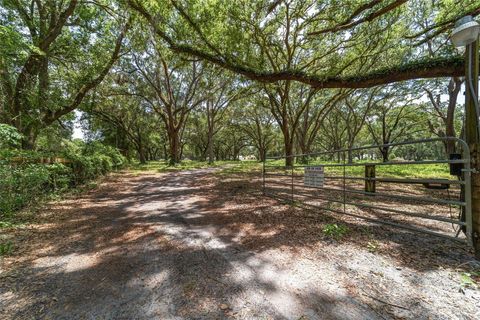 Farm in BUSHNELL FL 975 CR 542E 92.jpg