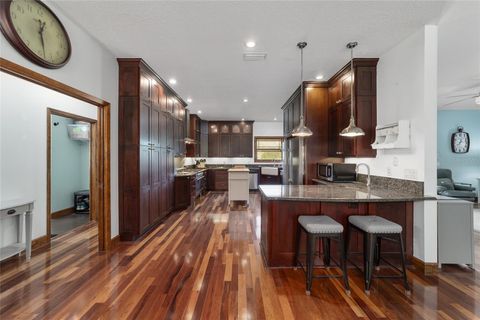 Farm in BUSHNELL FL 975 CR 542E 24.jpg