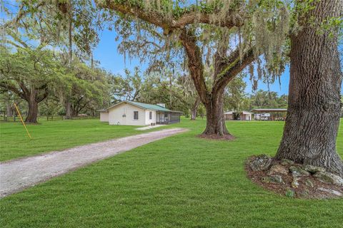 Farm in BUSHNELL FL 975 CR 542E 88.jpg