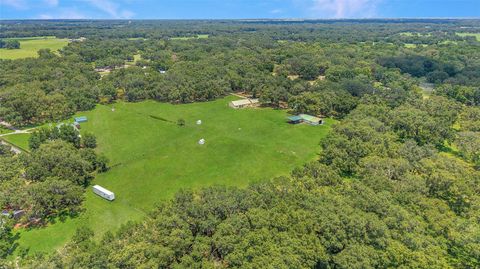 Farm in BUSHNELL FL 975 CR 542E 93.jpg
