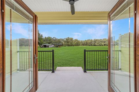 Farm in BUSHNELL FL 975 CR 542E 42.jpg