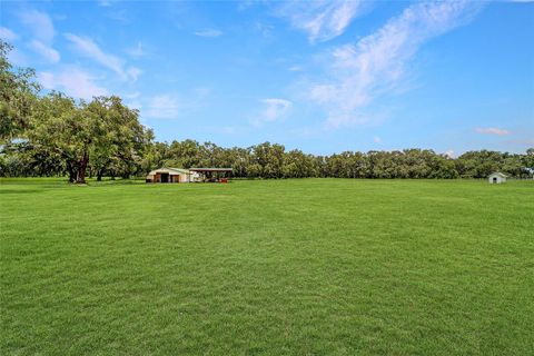 Farm in BUSHNELL FL 975 CR 542E 86.jpg
