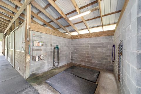 Farm in BUSHNELL FL 975 CR 542E 71.jpg