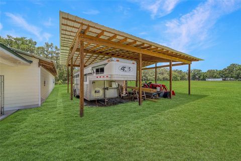 Farm in BUSHNELL FL 975 CR 542E 77.jpg