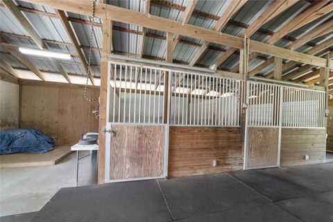 Farm in BUSHNELL FL 975 CR 542E 70.jpg