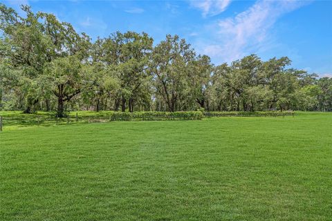 Farm in BUSHNELL FL 975 CR 542E 83.jpg