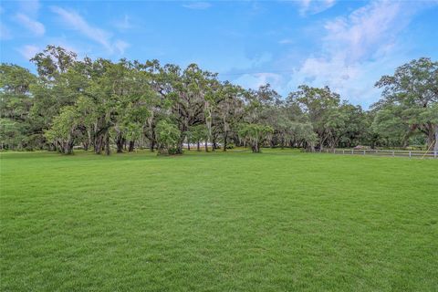 Farm in BUSHNELL FL 975 CR 542E 85.jpg