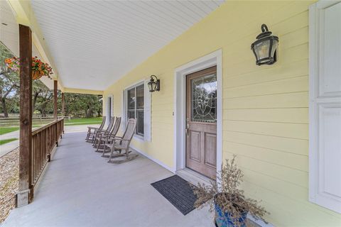 Farm in BUSHNELL FL 975 CR 542E 7.jpg