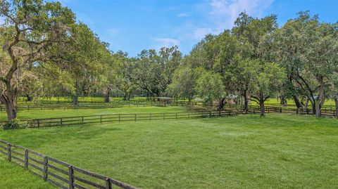 Farm in BUSHNELL FL 975 CR 542E 82.jpg
