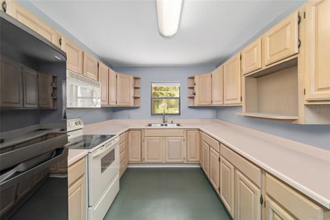 Farm in BUSHNELL FL 975 CR 542E 56.jpg
