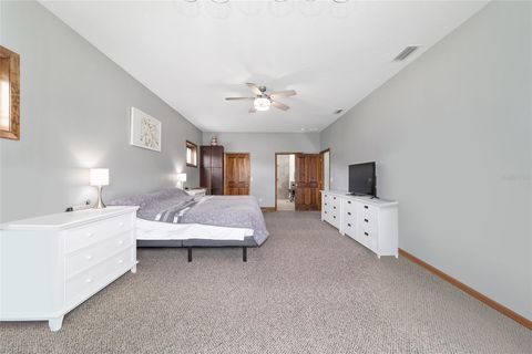 Farm in BUSHNELL FL 975 CR 542E 31.jpg