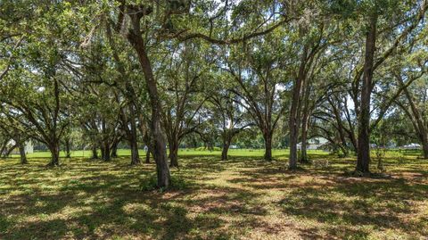 Farm in BUSHNELL FL 975 CR 542E 89.jpg