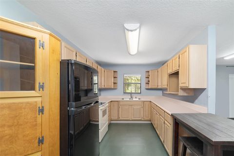Farm in BUSHNELL FL 975 CR 542E 55.jpg