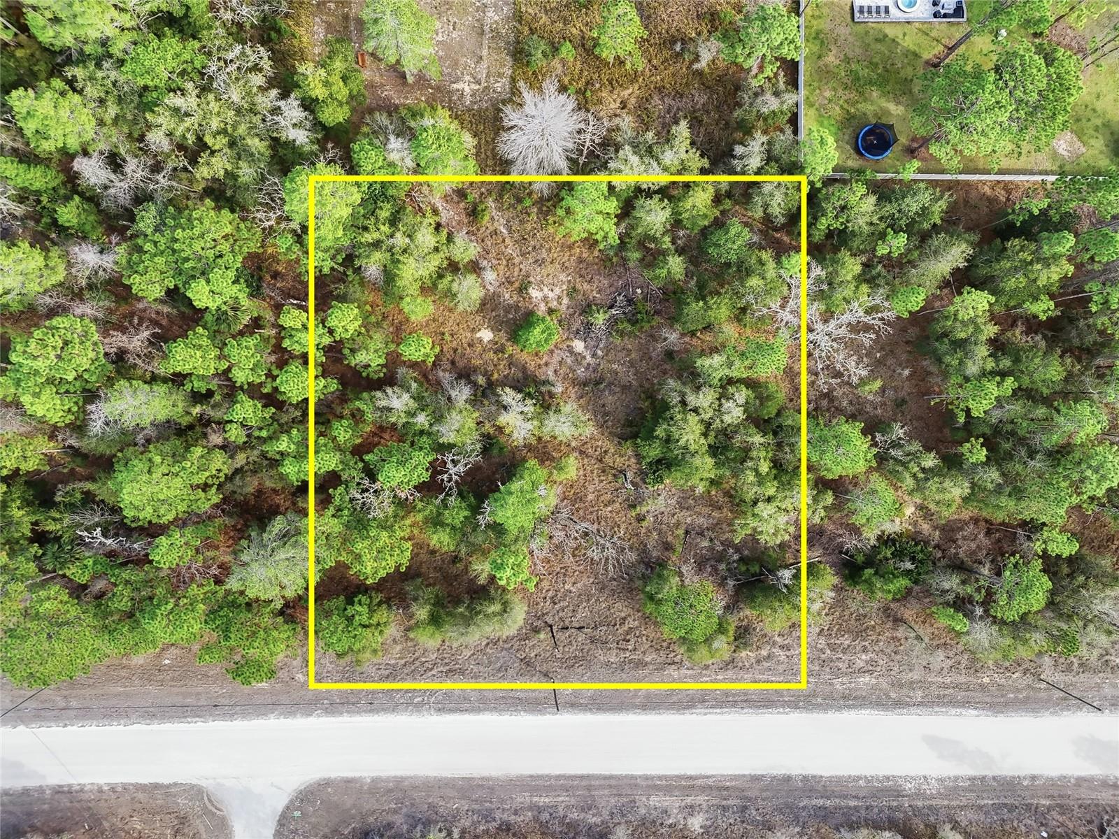 Chimney Swift Rd, Weeki Wachee, FL 34614