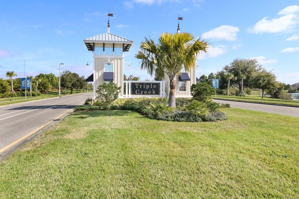 13117 Royal Pines Ave, Riverview, FL 33579 photo