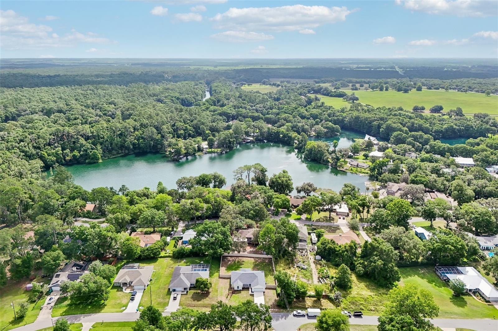 11591 Mockingbird Dr, Dunnellon, FL 34432 photo