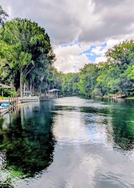 11591 Mockingbird Dr, Dunnellon, FL 34432 photo