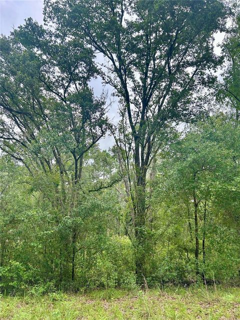  in INVERNESS FL 714 LONGWOOD AVENUE.jpg