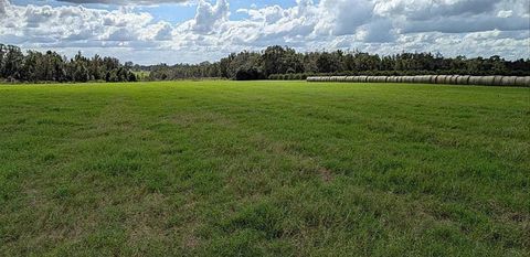  in DADE CITY FL 0 AMBERLEA.jpg