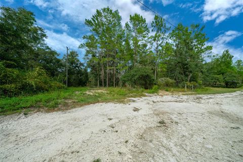  in DADE CITY FL 34167 BELT DRIVE.jpg