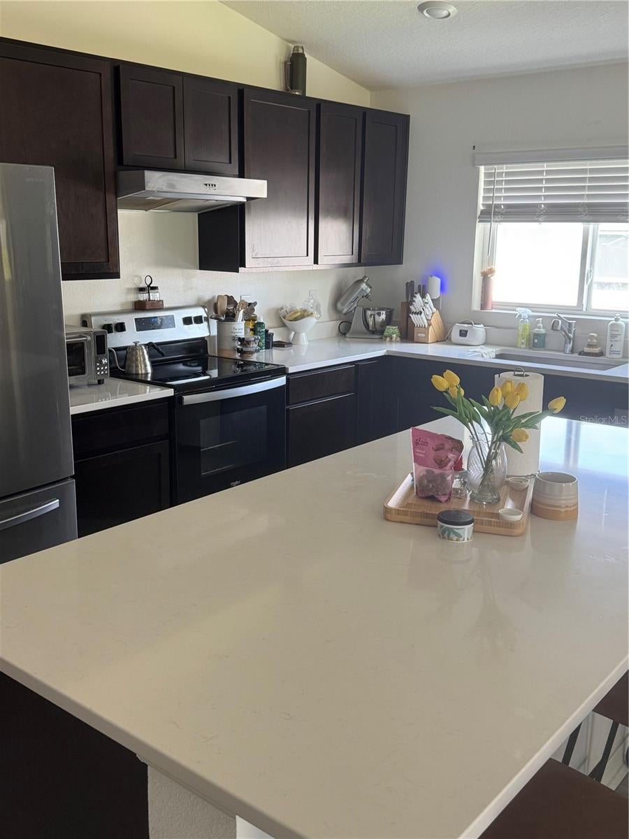 1459 Geranium Dr, Mascotte, FL 34753 photo