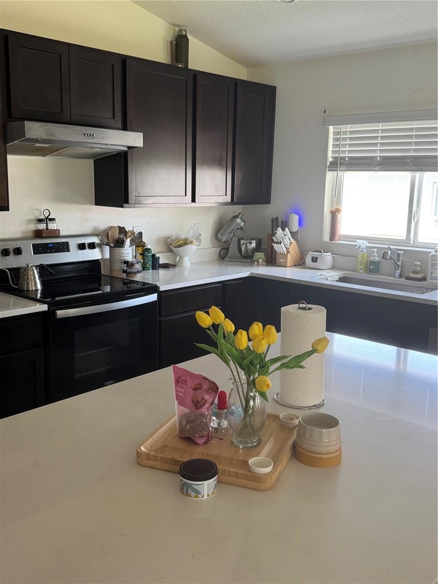 1459 Geranium Dr, Mascotte, FL 34753 photo