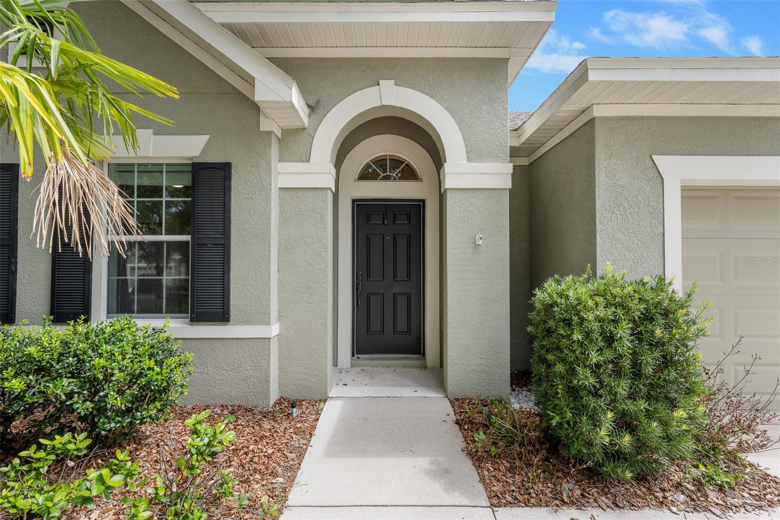 15814 Starling Water Dr, Lithia, FL 33547 photo