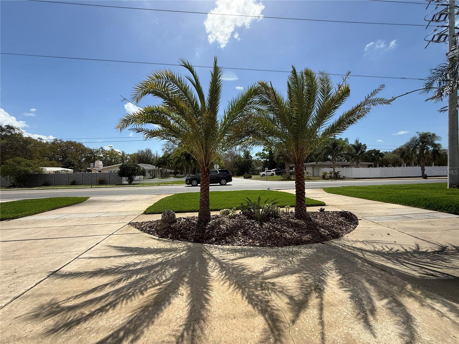2058 Nursery Rd, Clearwater, FL 33764 photo