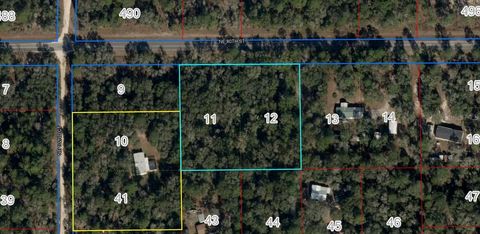  in BRONSON FL TBD NE 80TH STREET.jpg
