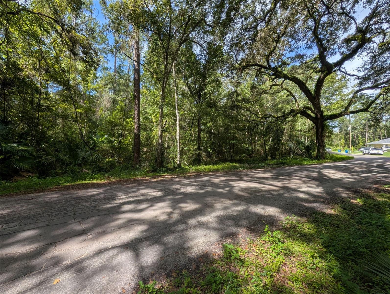 0 Wildwood Dr, Brooksville, FL 34601 photo