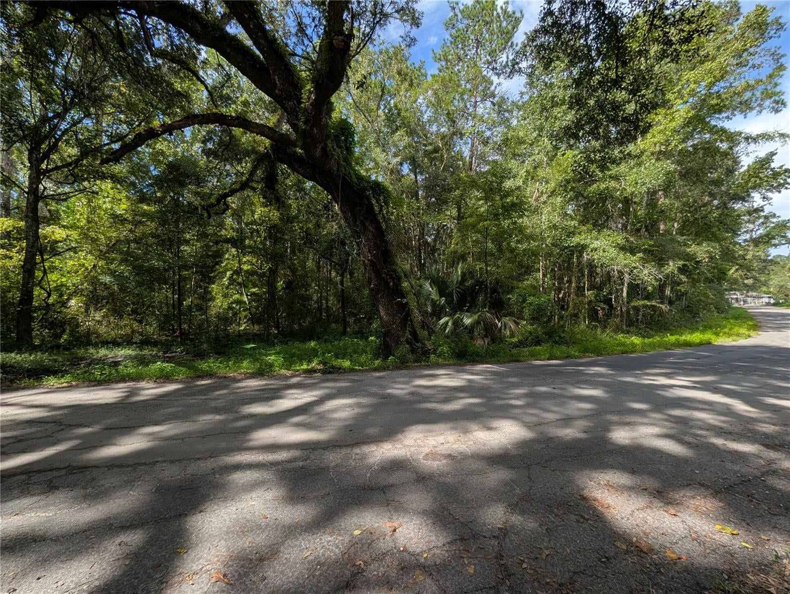 0 Wildwood Dr, Brooksville, FL 34601 photo