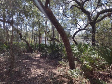  in MELROSE FL 89 TUCKER LAKE ROAD.jpg