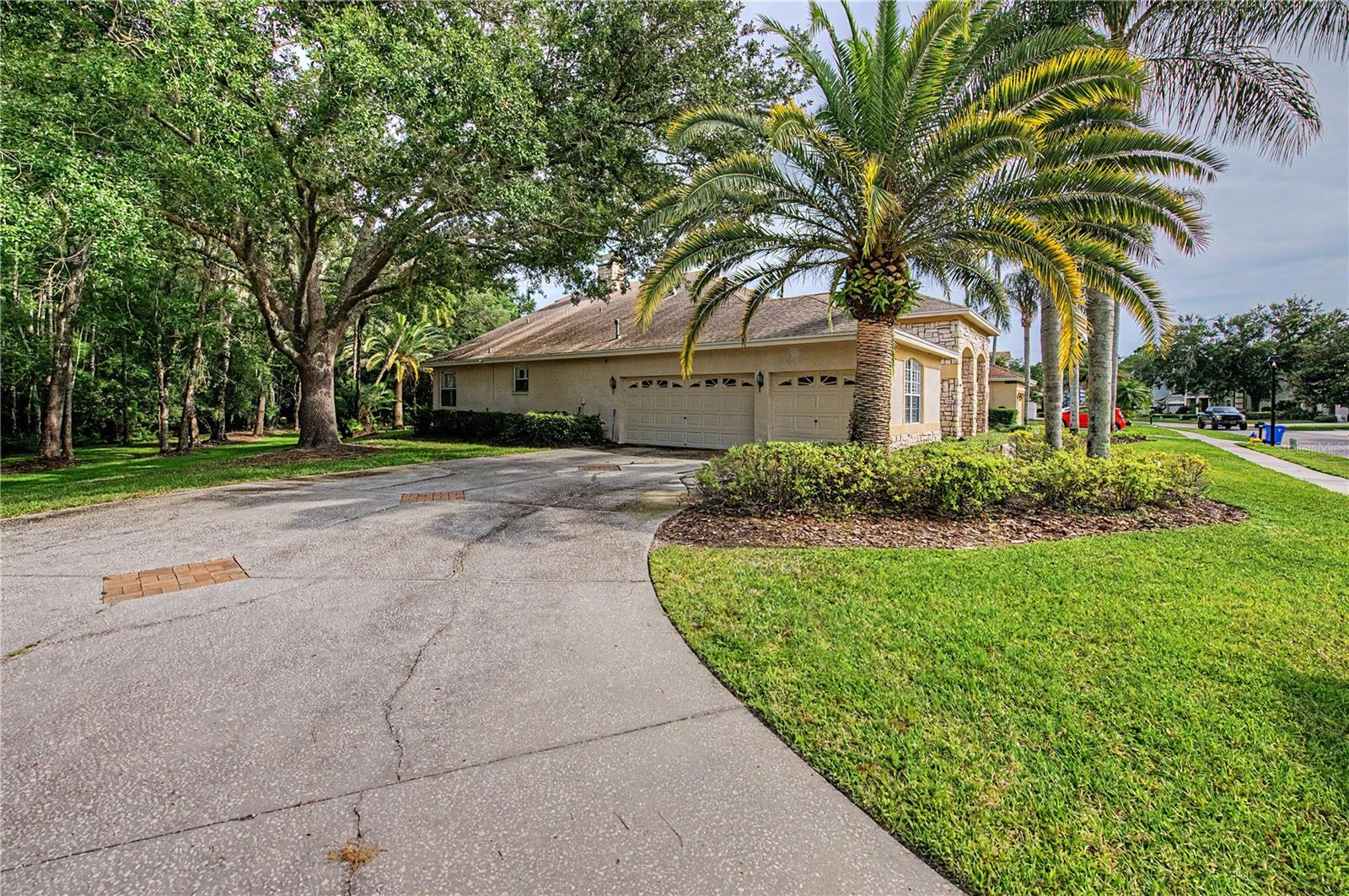 18615 Chemille Dr, Lutz, FL 33558 photo