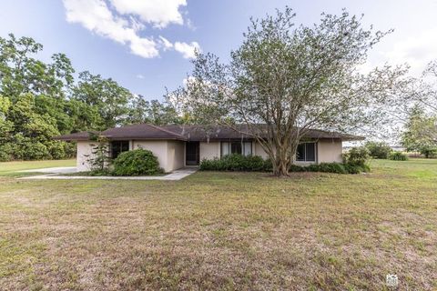 Mixed Use in OXFORD FL 11589 NE 36TH STREET.jpg