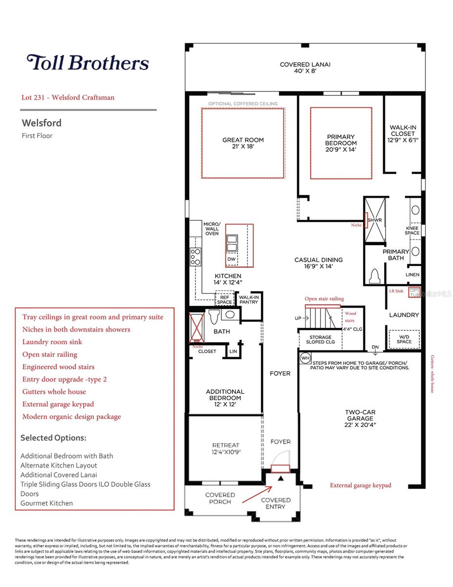 2783 Arbor Dune Ave, Apopka, FL 32712 photo