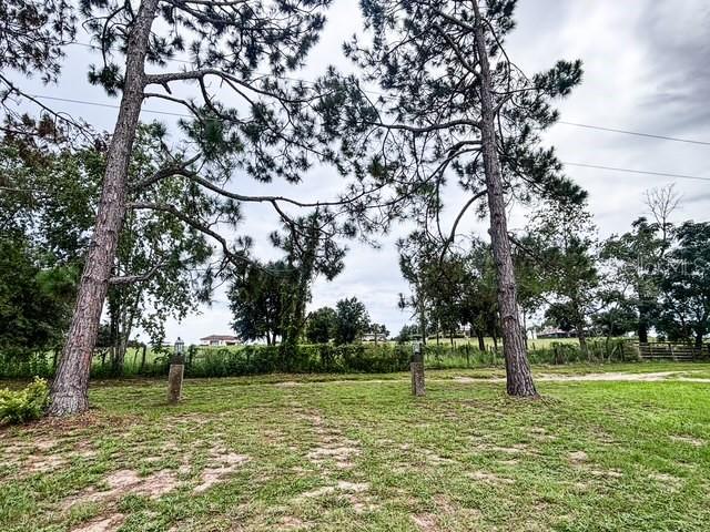 11300 Valley View Dr, Howey In The Hills, FL 34737 photo