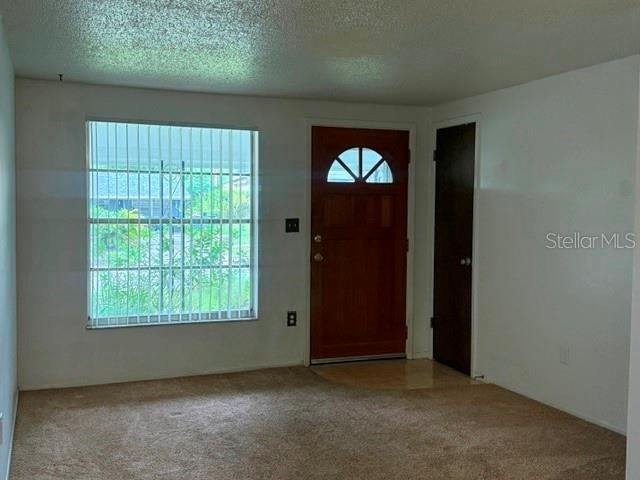 2905 Lemonwood St, Clearwater, FL 33759 photo