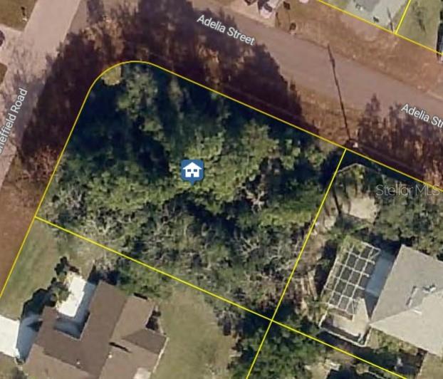 11416 Adelia St, Spring Hill, FL 34608 photo