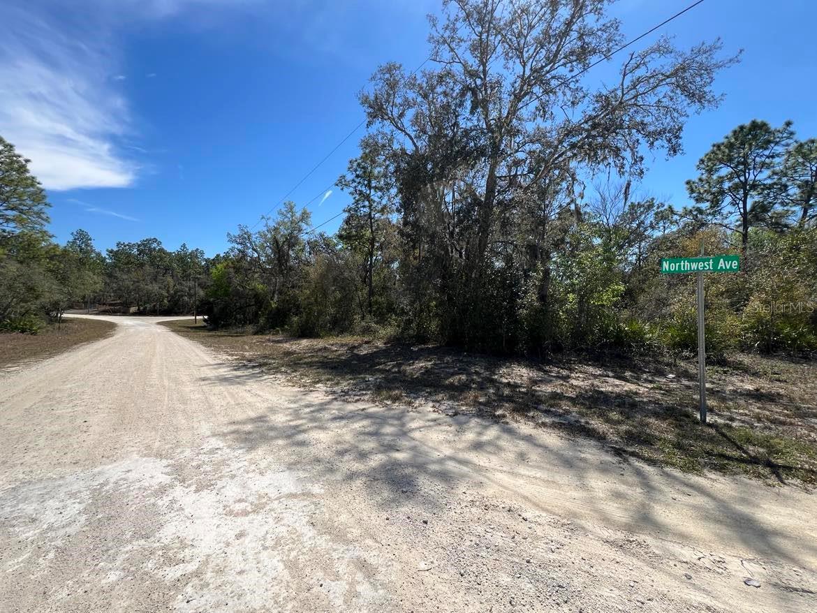 0 Northwest Ave #LOT # 32, Webster, FL 33597 photo