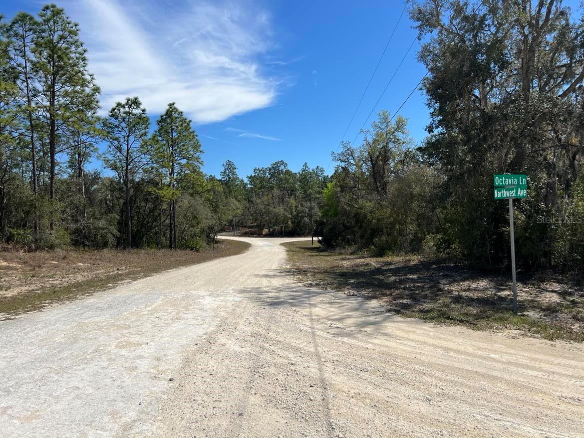 0 Northwest Ave #LOT # 32, Webster, FL 33597 photo