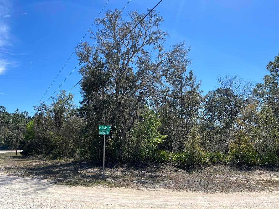 0 Northwest Ave #LOT # 32, Webster, FL 33597 photo