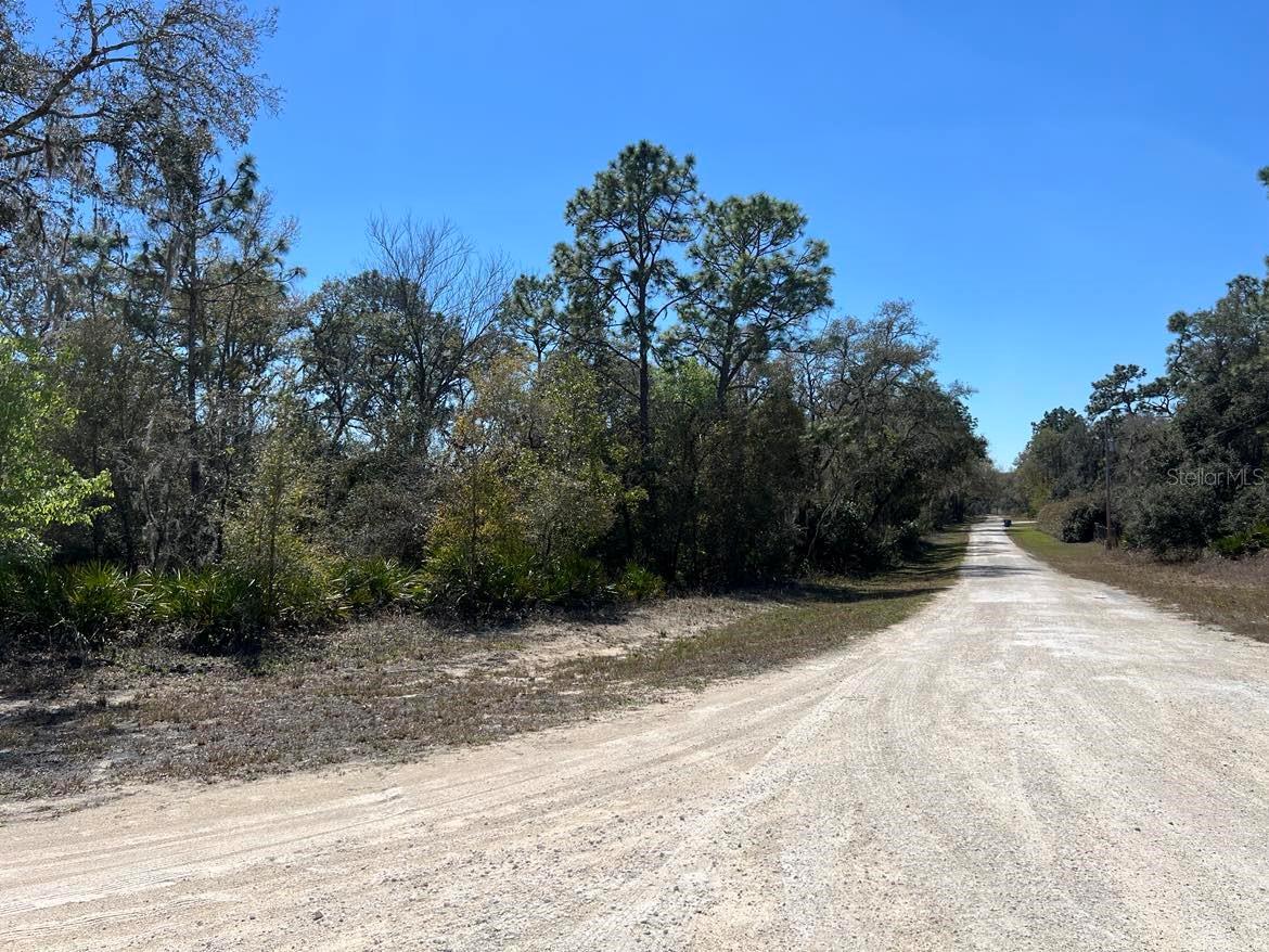 0 Northwest Ave #LOT # 32, Webster, FL 33597 photo