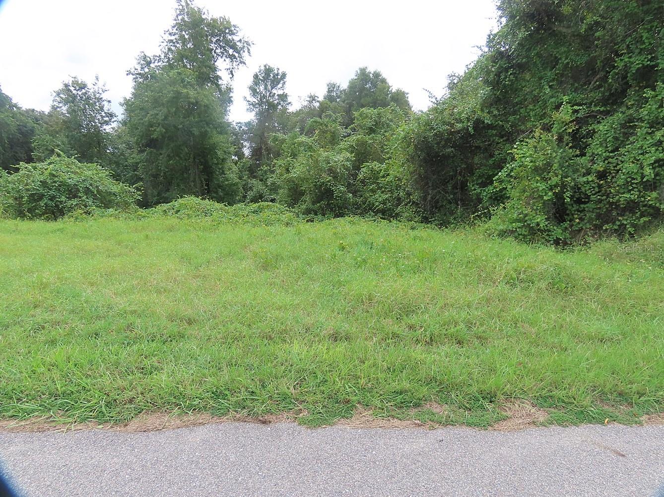 17701 Seidner Rd, Winter Garden, FL 34787