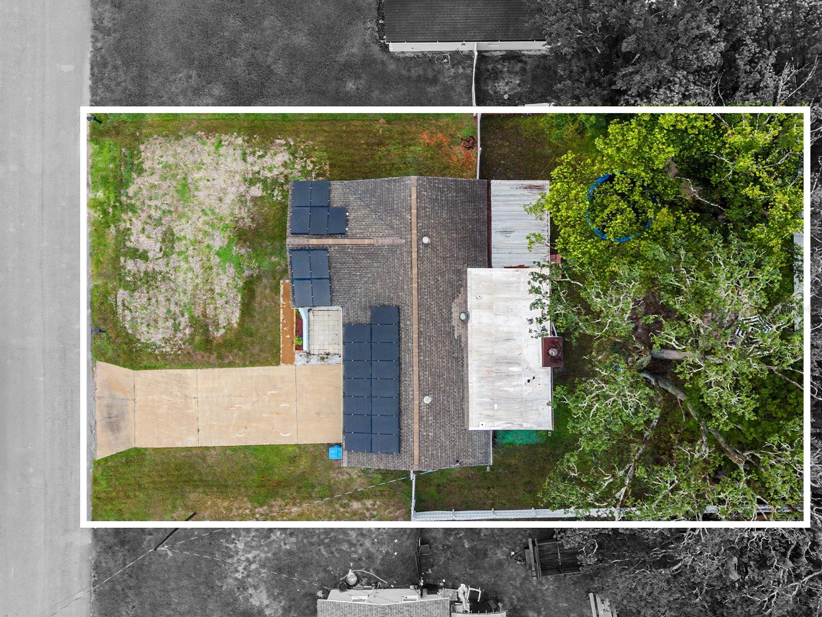 197 Rosedale Ave, Spring Hill, FL 34606 photo