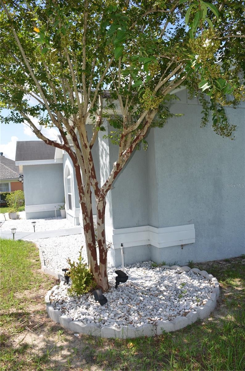 9916 SW 56 Ave, Ocala, FL 34476 photo